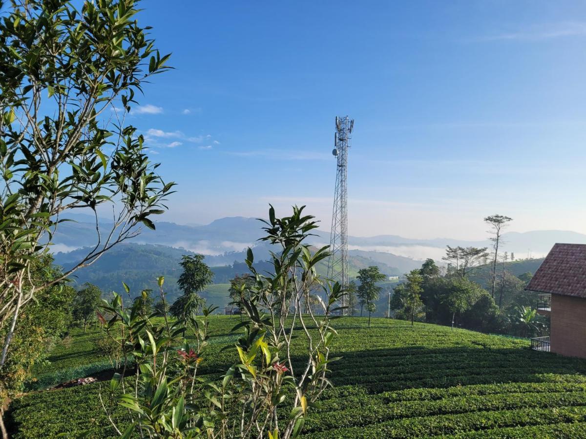 Cloud Canopy - Tea Garden Family Pool Cottage In Vagamon Extérieur photo