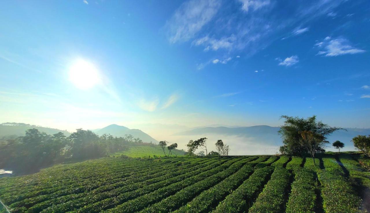 Cloud Canopy - Tea Garden Family Pool Cottage In Vagamon Extérieur photo