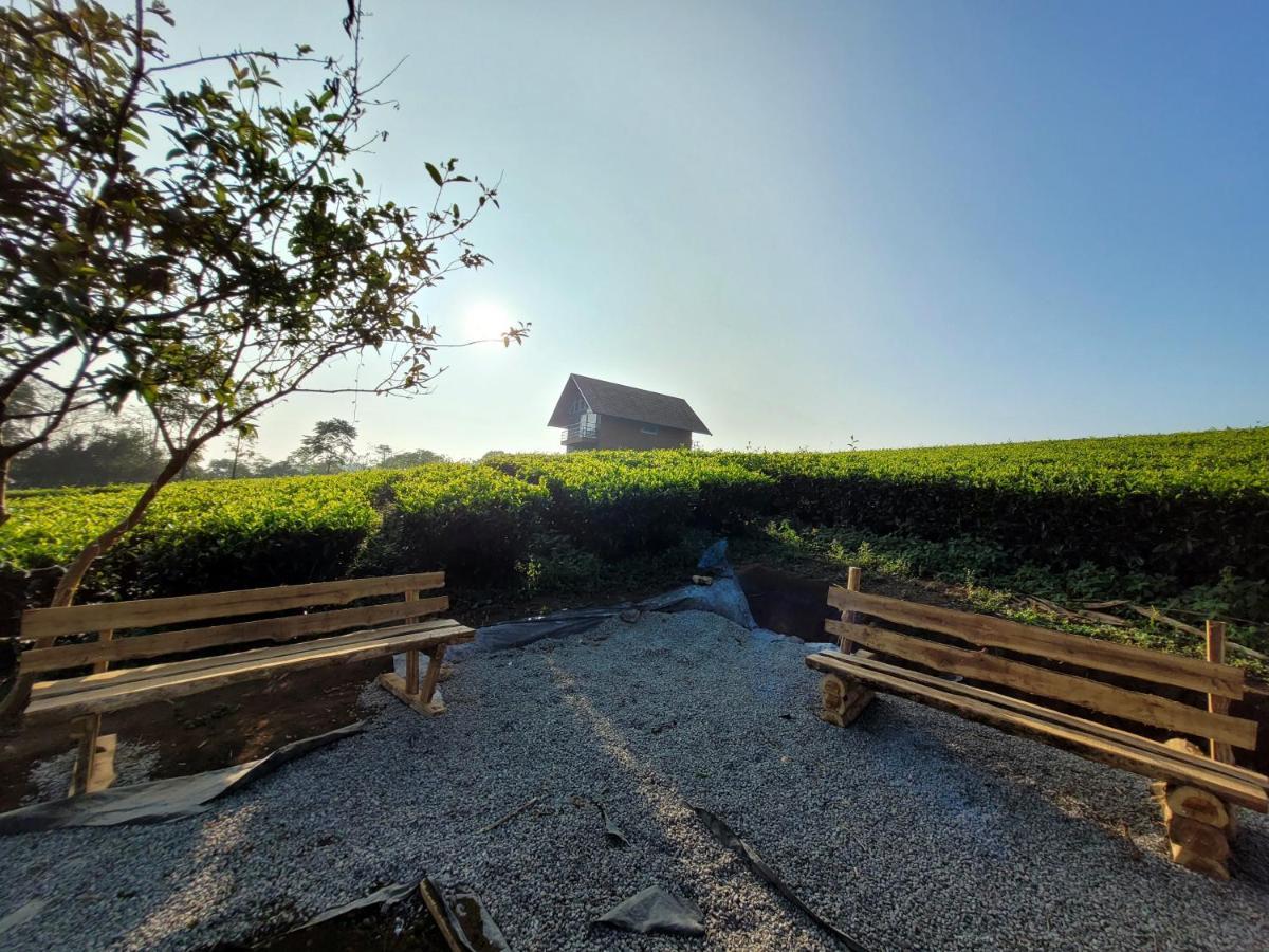 Cloud Canopy - Tea Garden Family Pool Cottage In Vagamon Extérieur photo