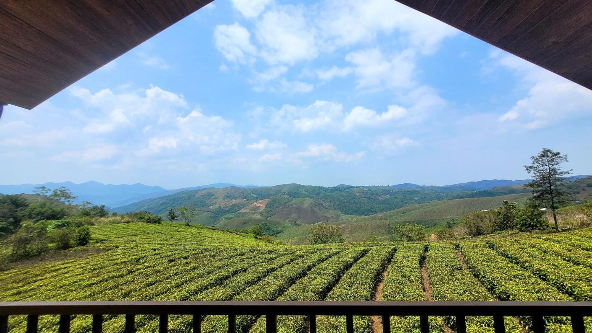 Cloud Canopy - Tea Garden Family Pool Cottage In Vagamon Extérieur photo