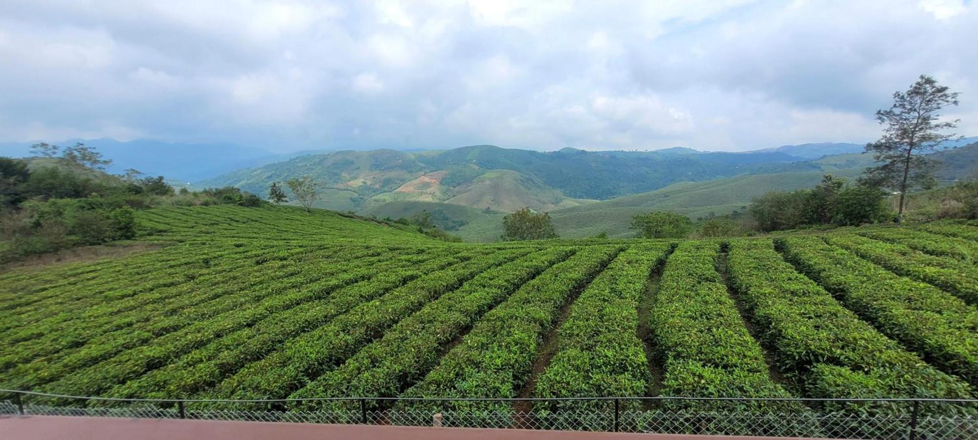 Cloud Canopy - Tea Garden Family Pool Cottage In Vagamon Extérieur photo