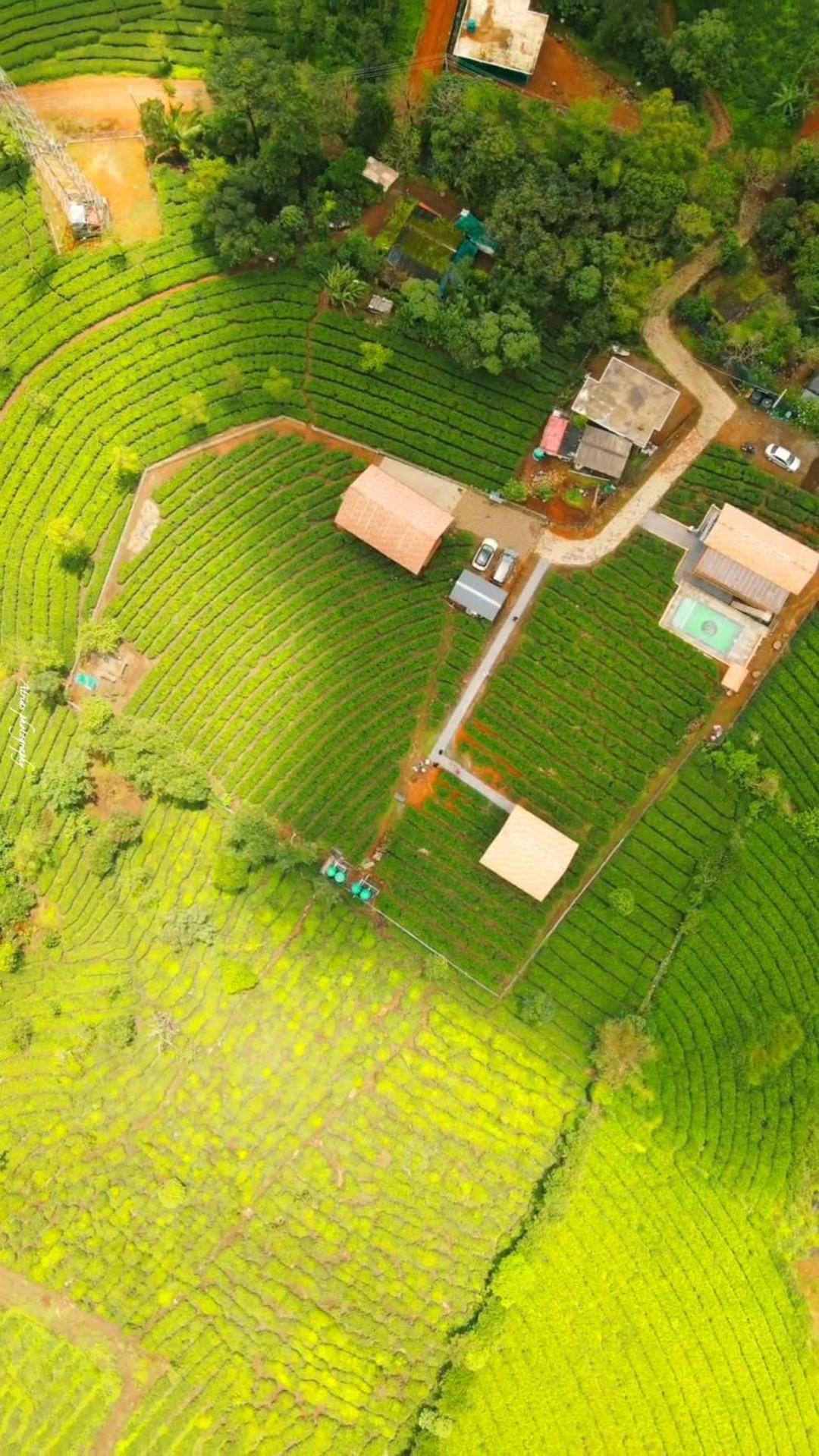 Cloud Canopy - Tea Garden Family Pool Cottage In Vagamon Extérieur photo